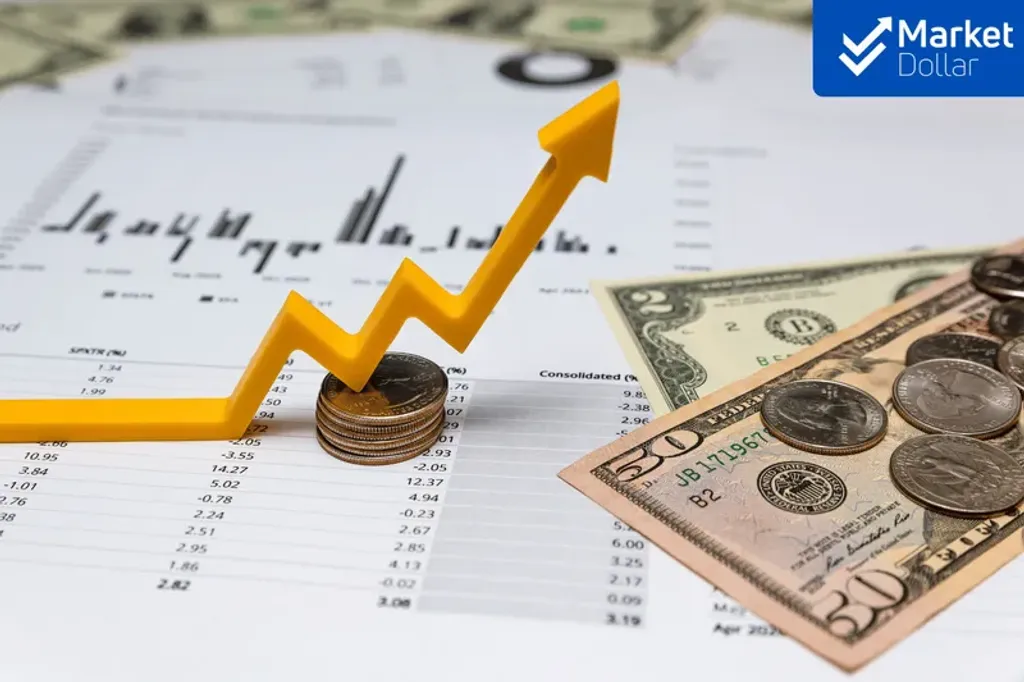 ¿Cómo leer los gráficos del tipo de cambio para comprar dólares? | Market Dollar