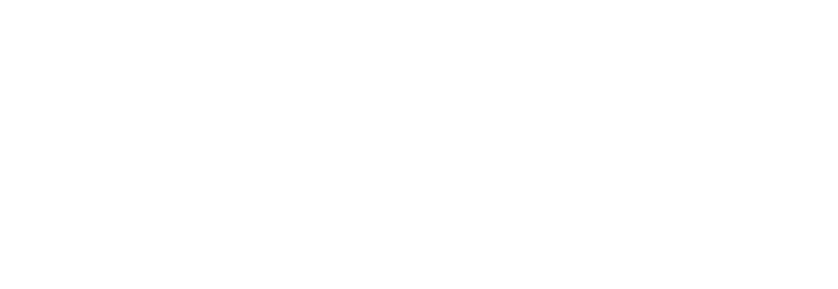 Dolares Trader Logo